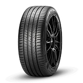 Pirelli  205/60/16  V 92 CINTURATO P7 (P7C2)