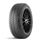 DoubleStar  275/45/20  H 110 DW09  XL