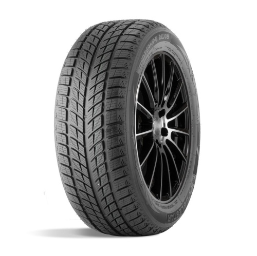 DoubleStar  275/40/20  V 106 DW09  XL