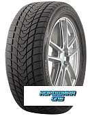 Delinte 225/55 r17 Winter WD1 97T